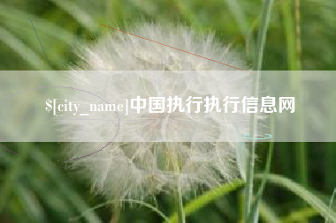 邹平中国执行执行信息网