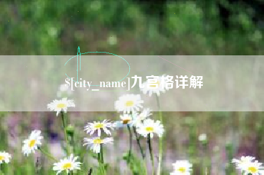 邹平九宫格详解