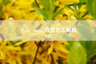 邹平九宫怎么解释