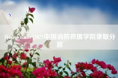 邹平2021中国消防救援学院录取分数
