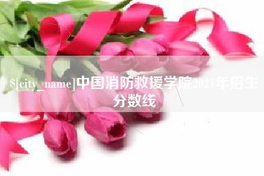 邹平中国消防救援学院2021年招生分数线