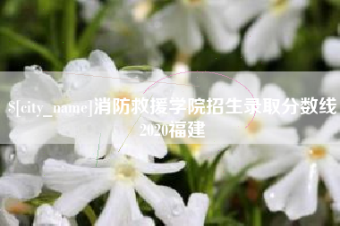 邹平消防救援学院招生录取分数线2020福建