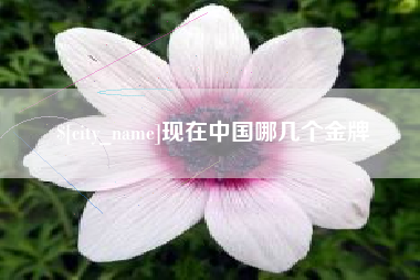 邹平现在中国哪几个金牌