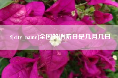 邹平全国的消防日是几月几日