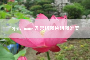 邹平九宫格图片组图唯美