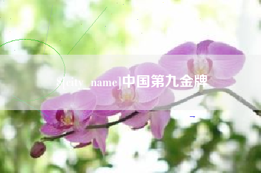 邹平中国第九金牌