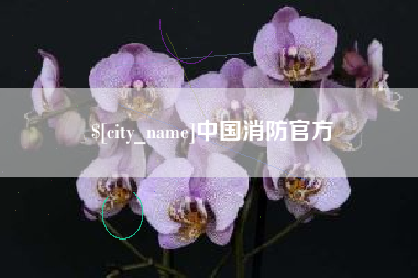 邹平中国消防官方