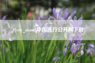 邹平中国执行公开网下载