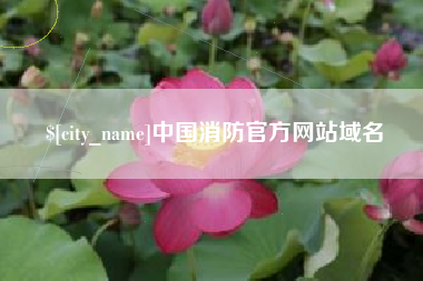 邹平中国消防官方网站域名