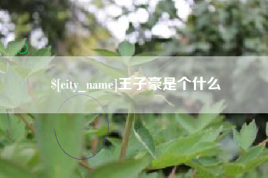 邹平王子豪是个什么