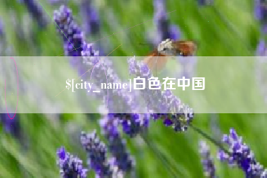邹平白色在中国
