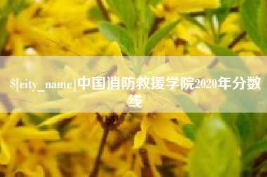 邹平中国消防救援学院2020年分数线