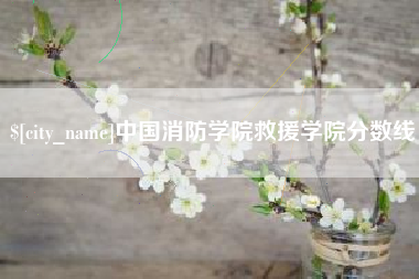 邹平中国消防学院救援学院分数线