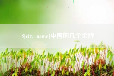 邹平中国的几个金牌