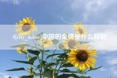 邹平中国的金牌是什么样的