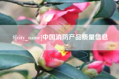 邹平中国消防产品质量信息