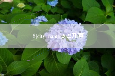 邹平2022九宫