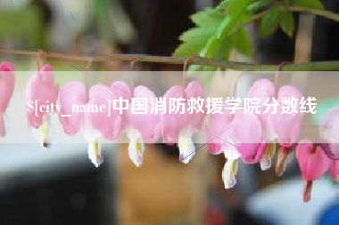 邹平中国消防救援学院分数线