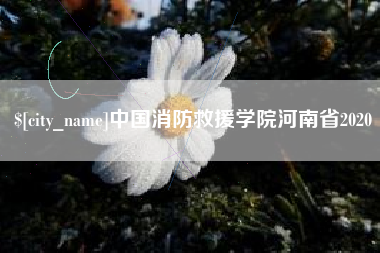 邹平中国消防救援学院河南省2020